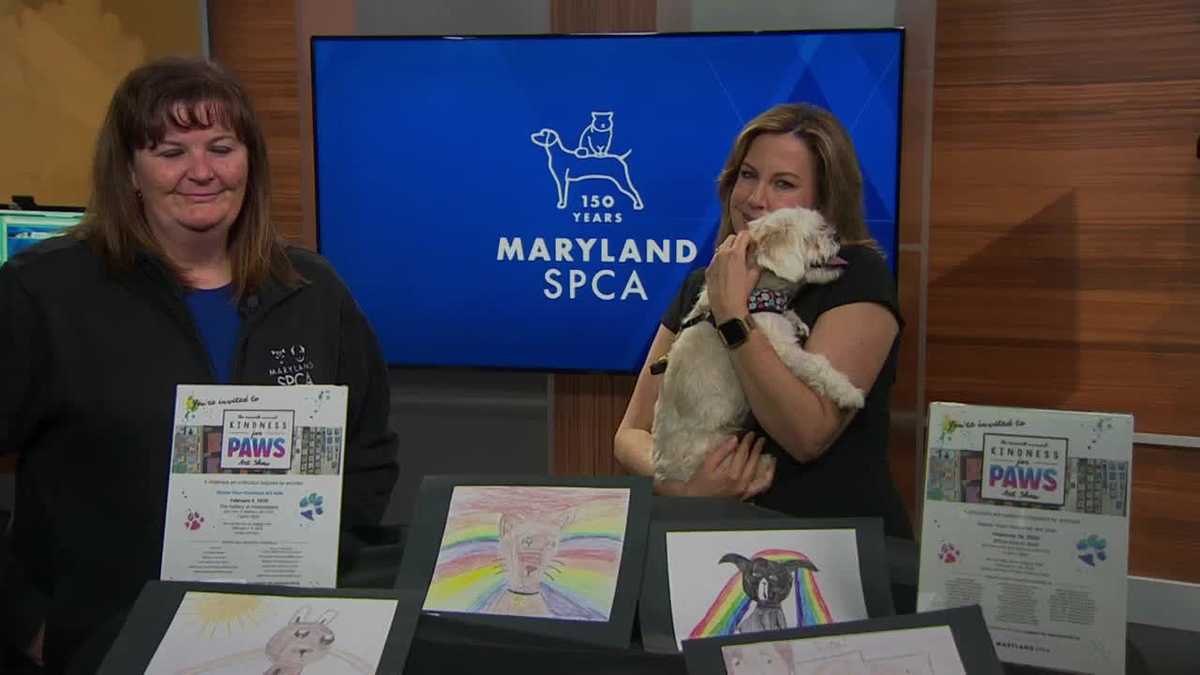 The Maryland SPCA previews its 