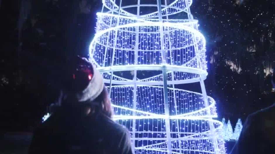 'Dazzling Nights' takes over Leu Gardens