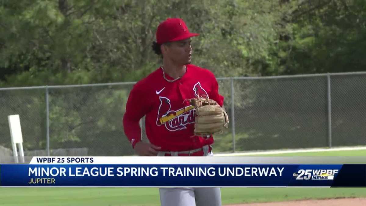 Cardinals 2022 Minor League Spring Training preview