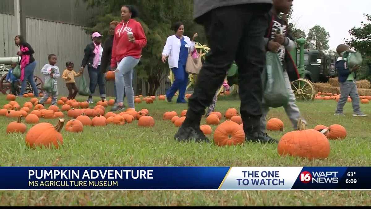 The Pumpkin Adventure returns to MS Ag Museum