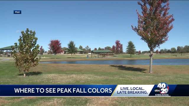 Where to see the best fall foliage across the Ozarks - Vimarsana News