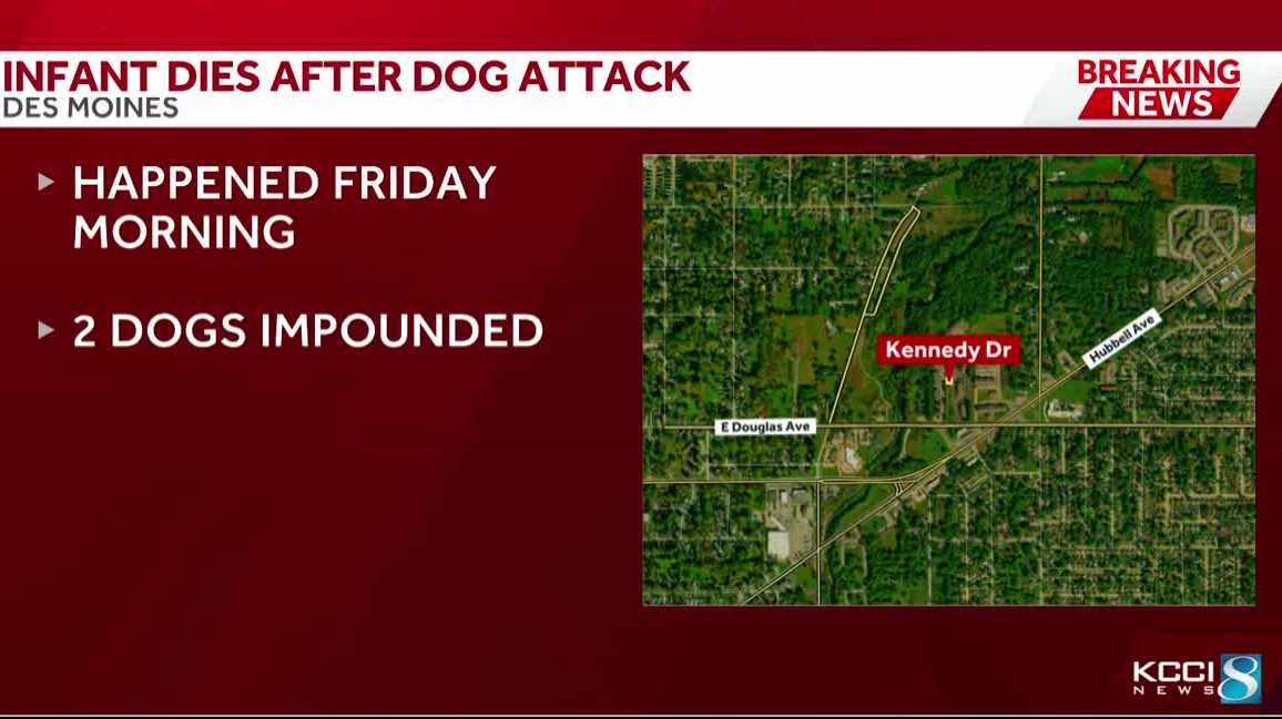 Infant dead, toddler seriously injured in separate dog-bite incidents in Des Moines