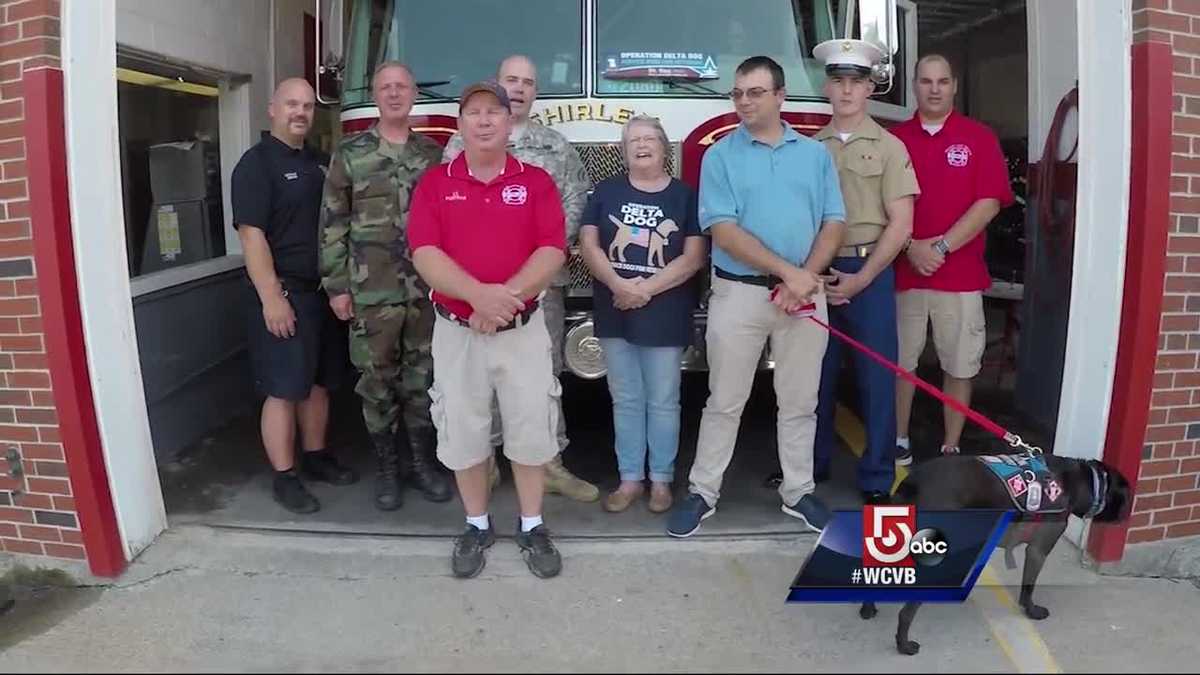 Wake up call: Shirley Fire Dept.