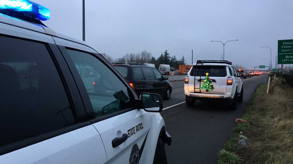 Driver pulled over for Christmas lights on vehicle