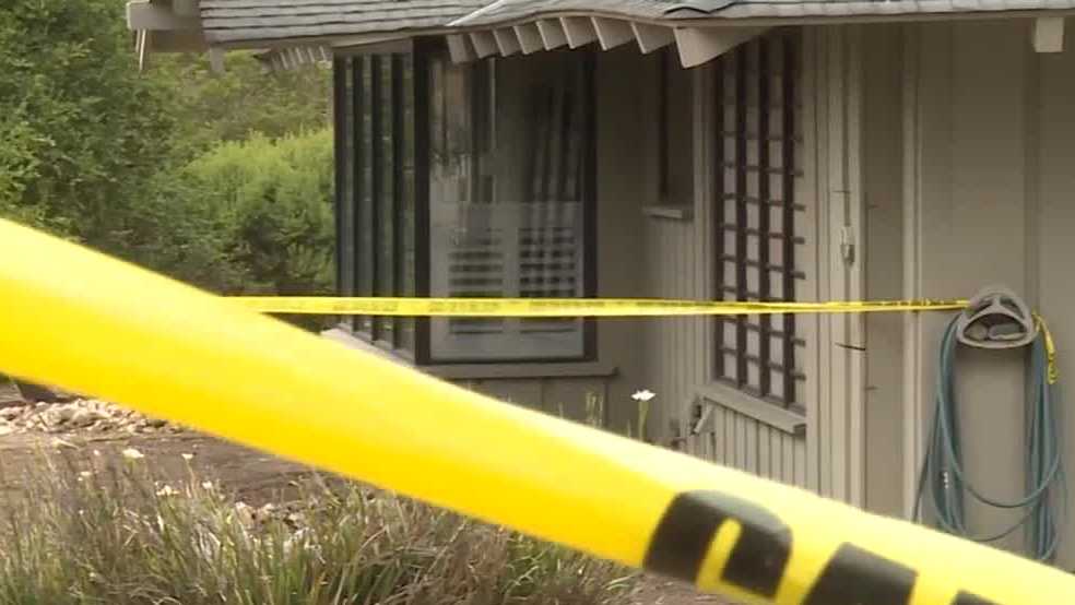 Assault News Image