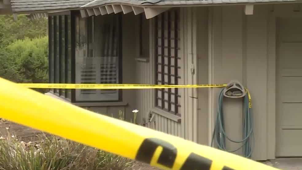 Assault News Image