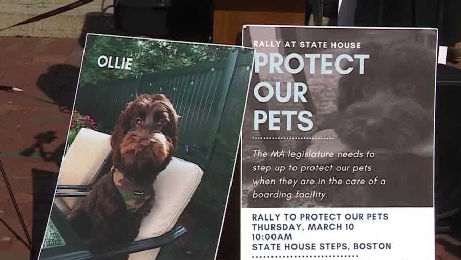 Animal advocates push for uniform dog day care regulations