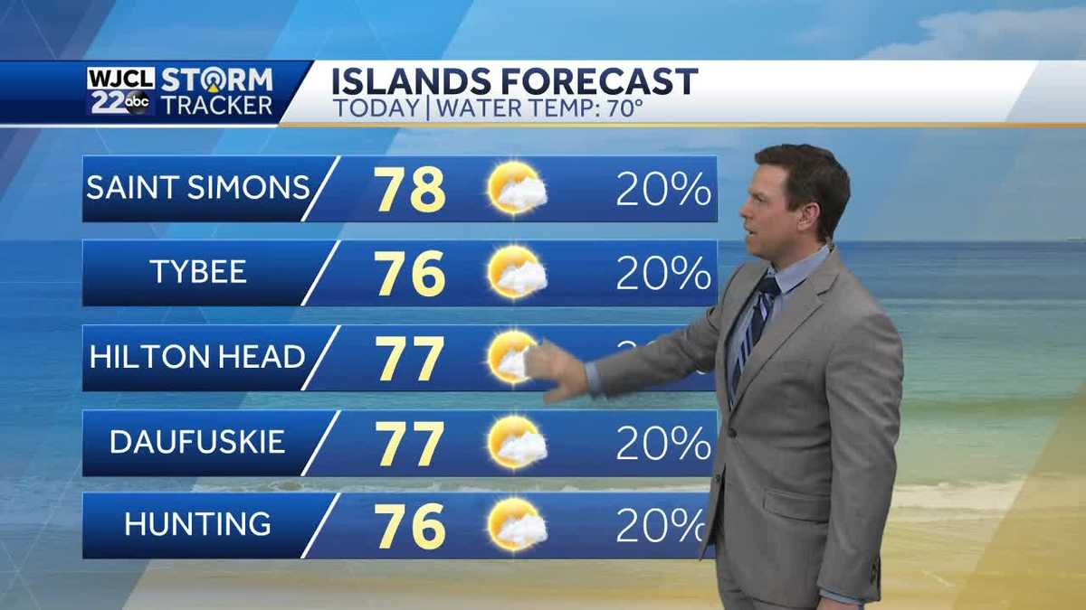 A few showers this morning then clearing skies in the afternoon - WJCL