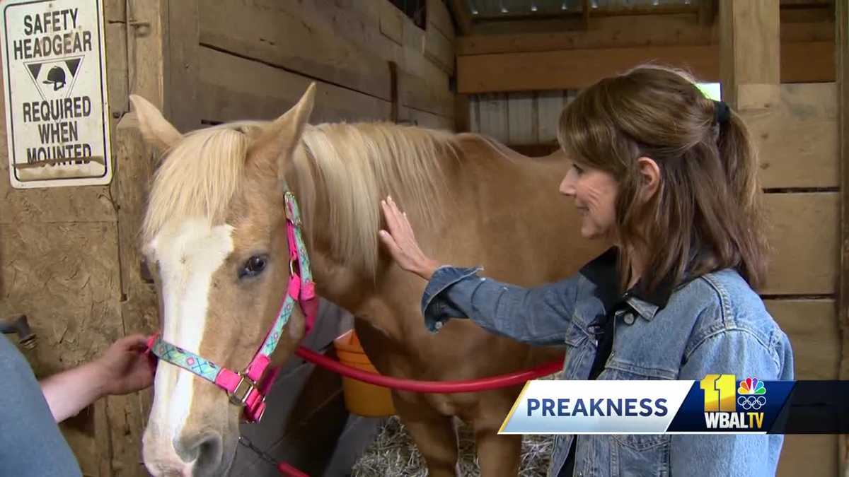Deborah Weiner faces her fear of horses
