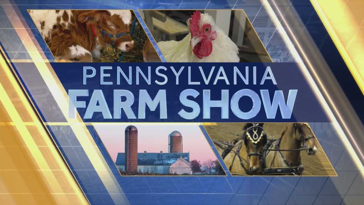 News 8 Preview Pennsylvania Farm Show