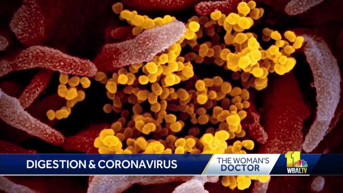 Digestive issues possible early sign of coronavirus