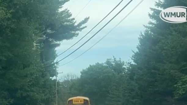 Video: Indecisive turkeys hold up traffic in Brentwood, NH