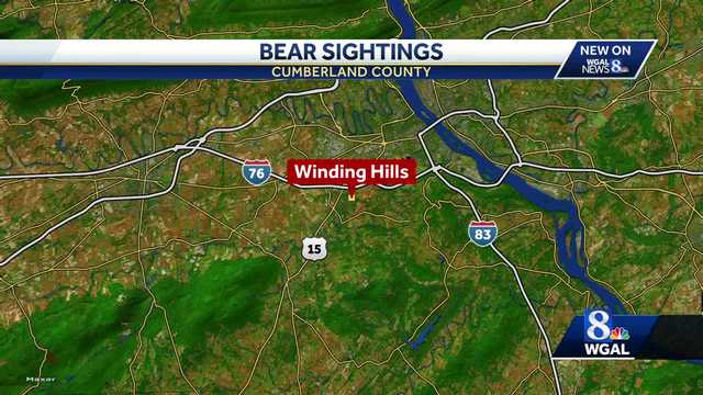 Bears sightings reported in Upper Allen - Vimarsana News