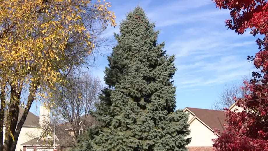 Durham Museum searches for 2026 Christmas tree