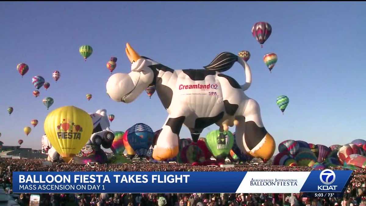 Albuquerque skies come alive with hundreds of hot air balloons at 54th Balloon Fiesta