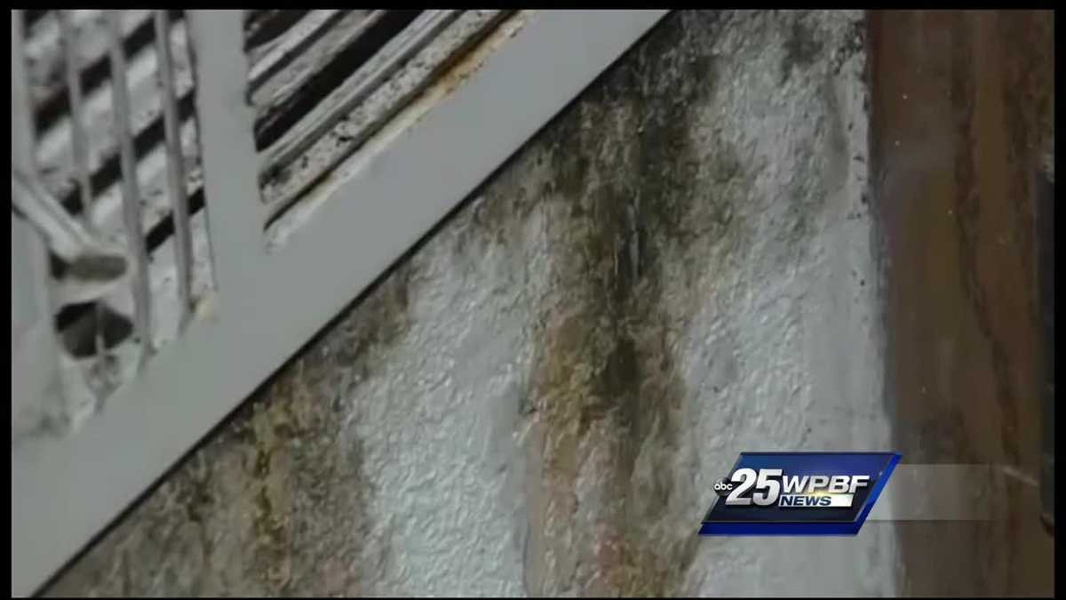 Renters Say They Are Being Forced Out Of Homes