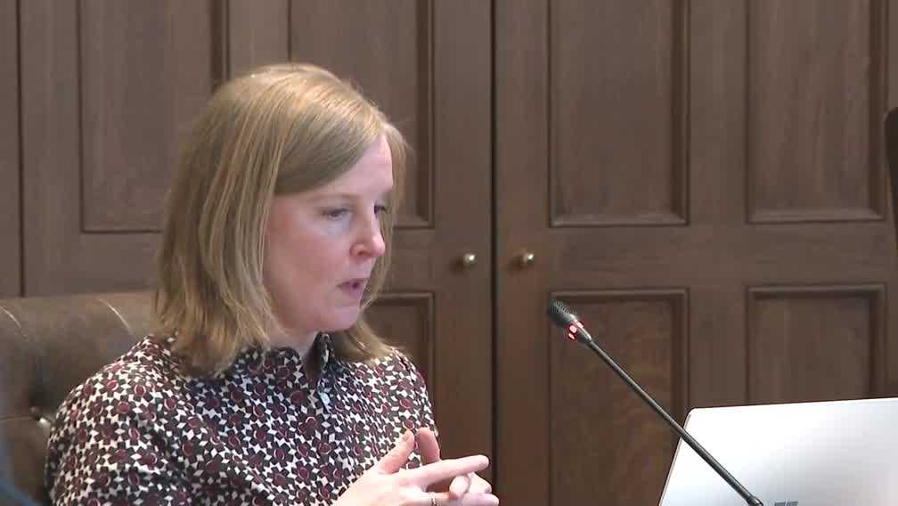 New Hampshire state senator opposes use of term 'illegal alien' - Vimarsana News