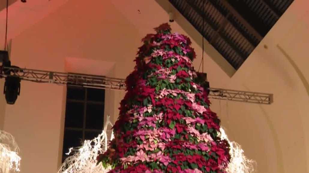 'Get out in nature': 20-foot tree, made up of 720 different poinsettia plants offers festive fun at Lauritzen Gardens