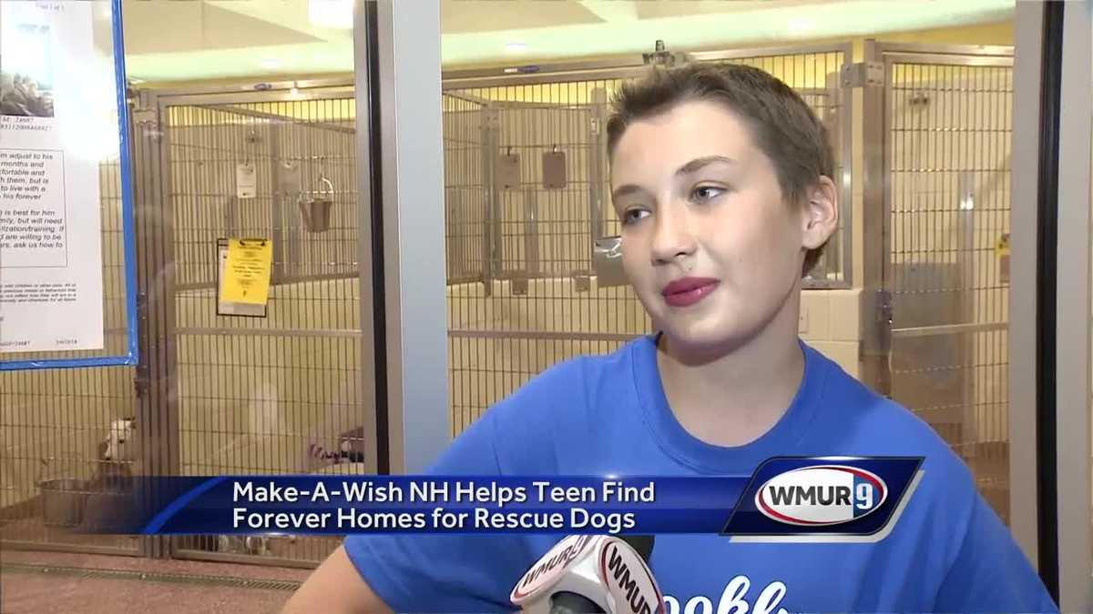 Teen uses her Make a Wish to help shelter dogs