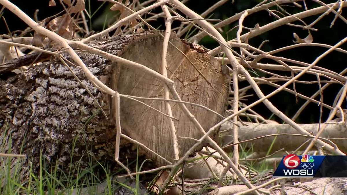 Jefferson Parish residents frustrated with storm debris pickup