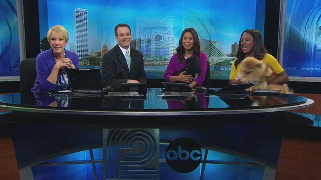 WISN 12 News This Morning pets visit the set