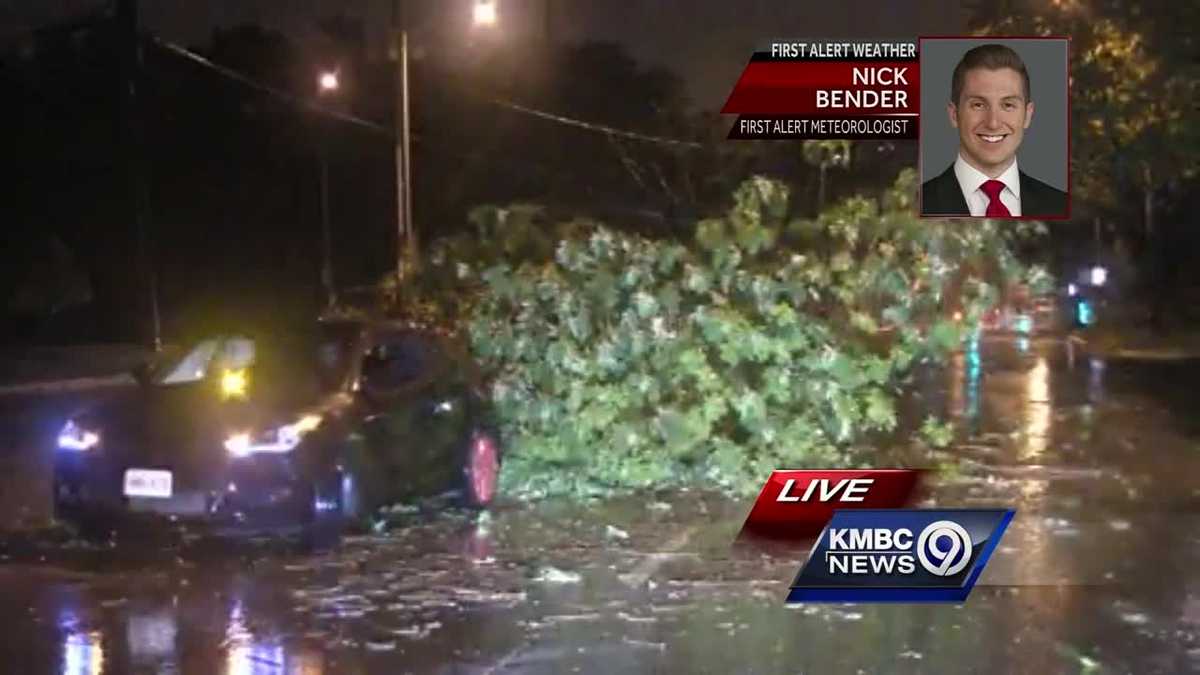 Line of severe storms brings down trees, power lines