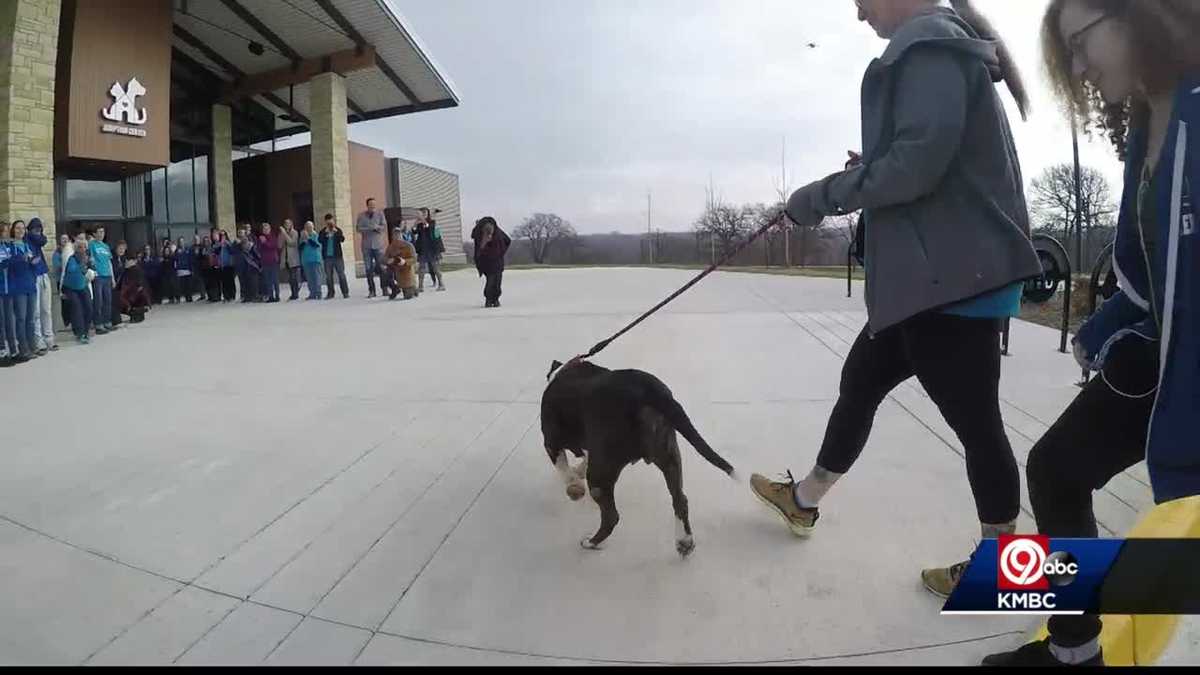 KC Pet Project moves animals into new facility
