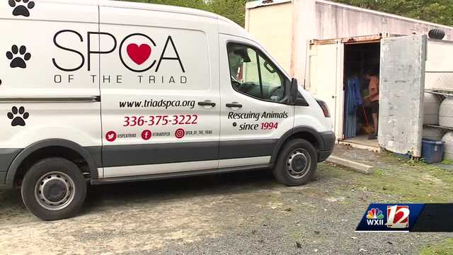 Report finds national animal welfare charities give little money to local shelters - Vimarsana News