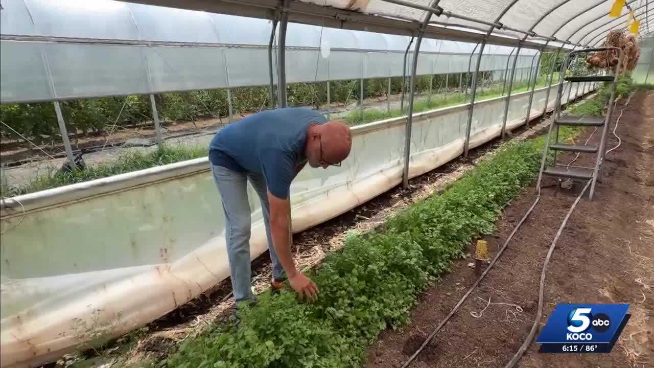 Oklahoma cyclosporiasis cases spark fear over fresh produce, and local farms answer with food safety