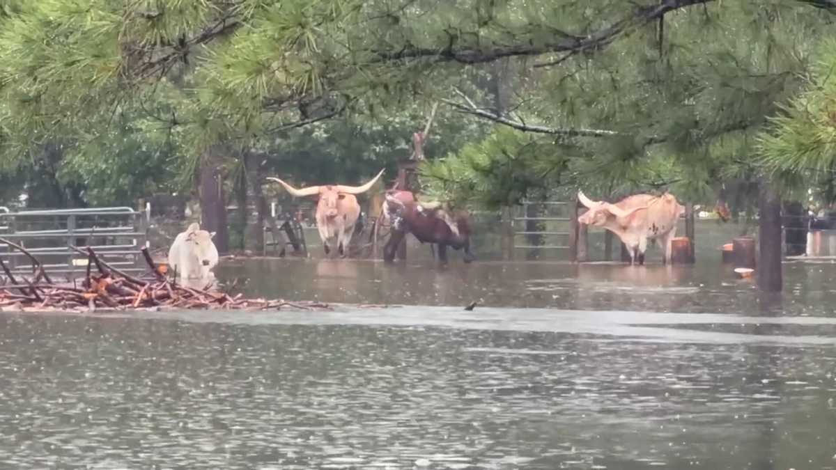 VIDEOS: Homes and roadways flooded as former Tropical Storm Edouard lingers over Texas