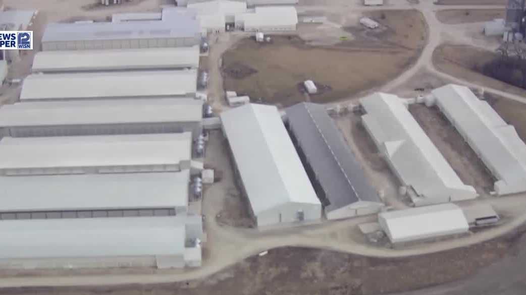 Avian flu outbreak hits Jefferson County poultry operation
