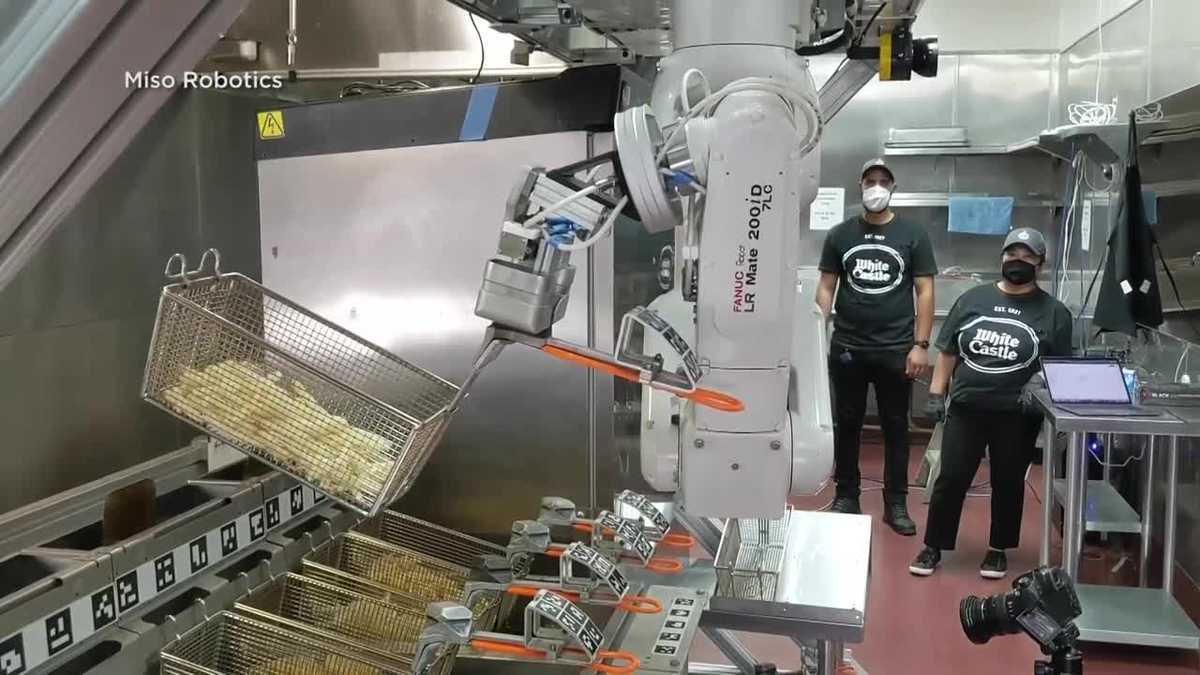Coming to a fast food kitchen near you: Food robots