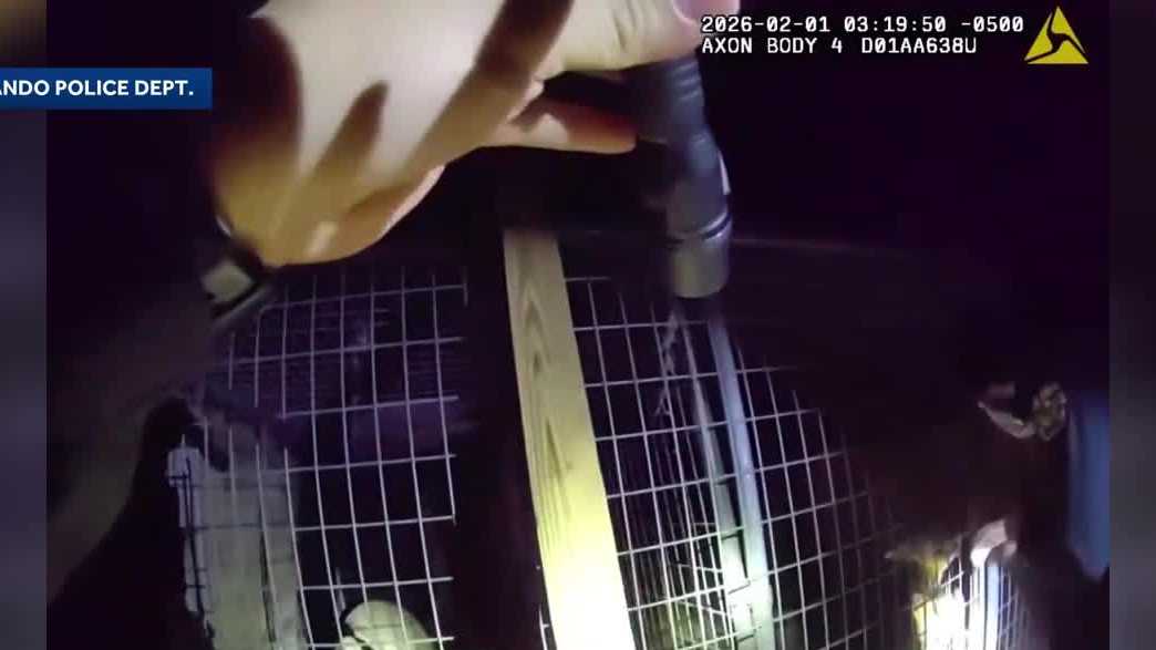 VIDEO: Orlando police rescue dogs from freezing cold temps