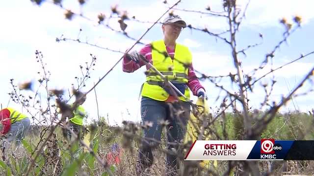 Lee's Summit couple says highway trash remains at unacceptable levels - Vimarsana News