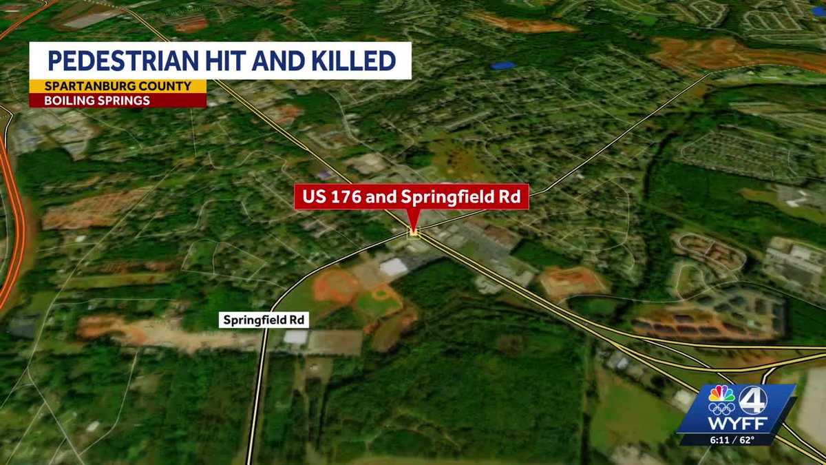 Pedestrian hit and killed in Upstate crash - WYFF