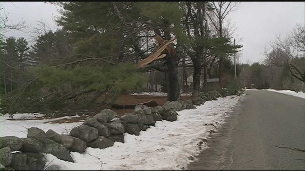 High winds bring down tree limbs