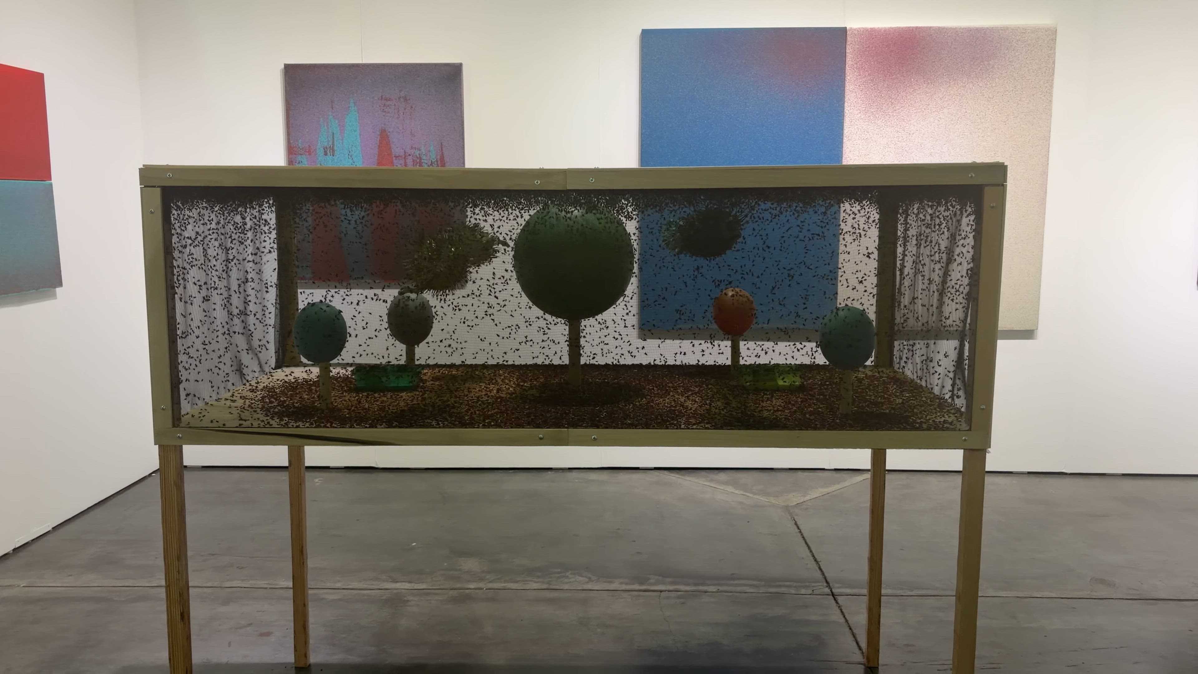 wpbf.com - Allen Cone - Art Palm Beach literally draws flies