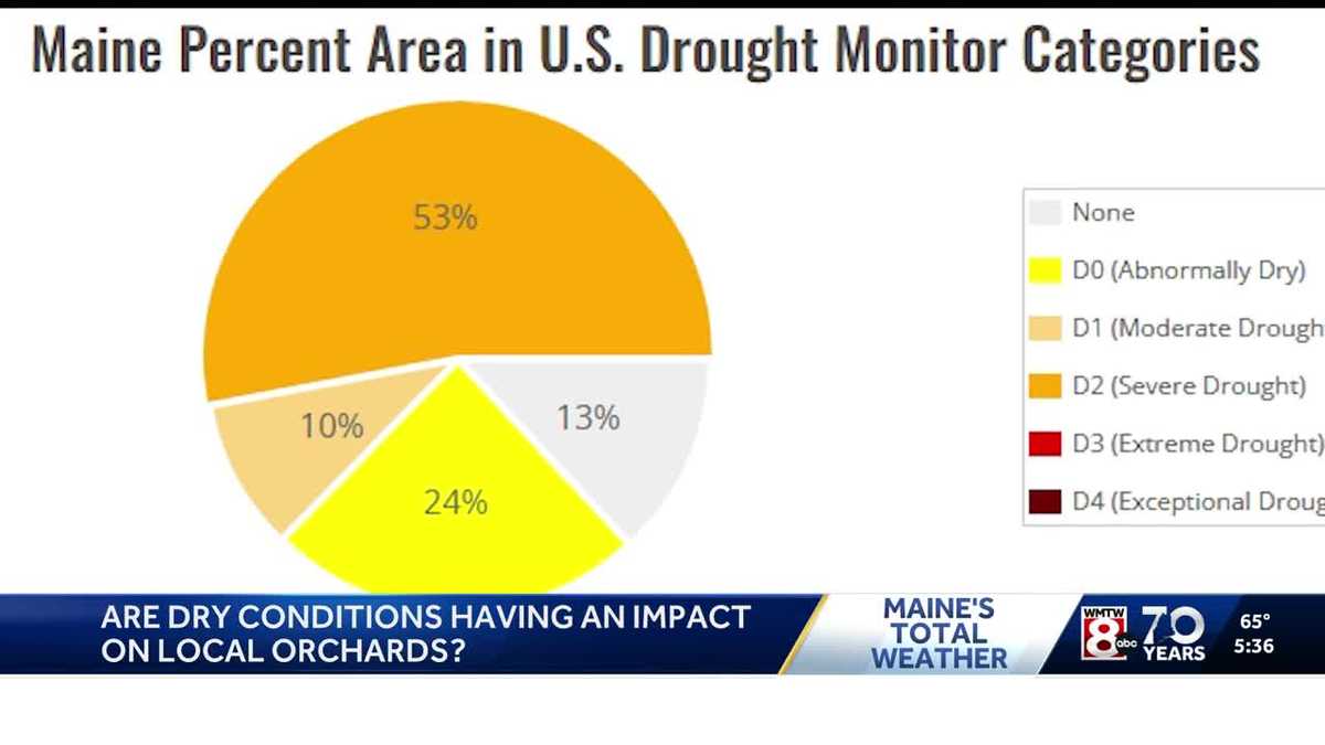 Could the drought impact apple harvesting in Maine?