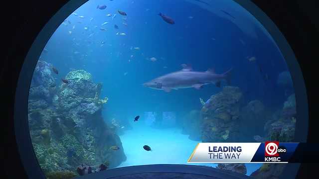 A sneak peak of the new Sobela Aquarium - Vimarsana News