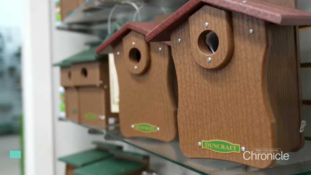 Made in New Hampshire: Duncraft bird feeders and bird houses