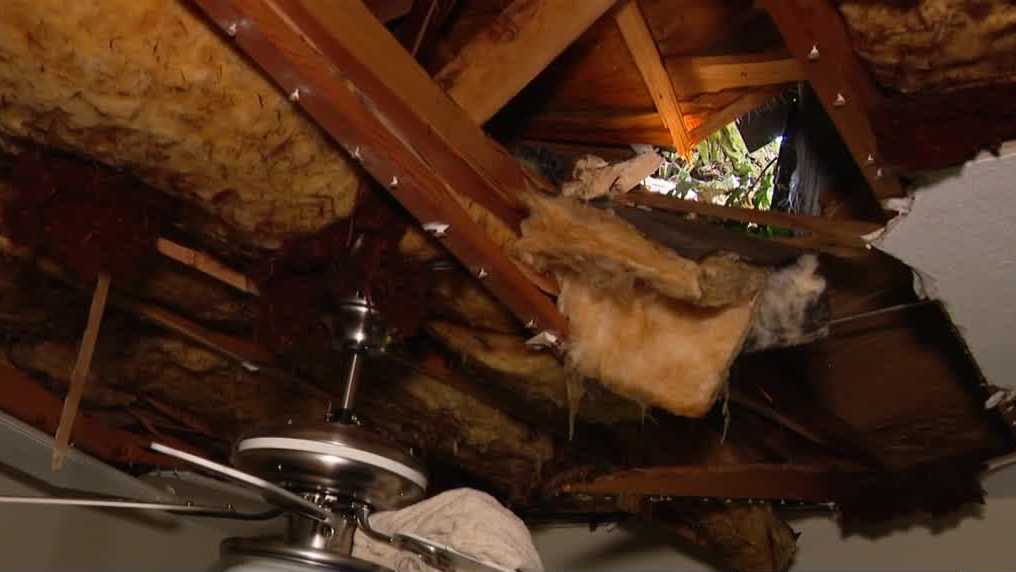 ‘It was pretty bad’: Des Moines man shaken after tree smashes onto roof during powerful storm
