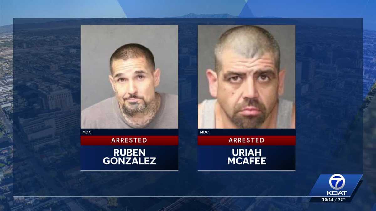 SWAT recovers dozens of guns at Albuquerque home