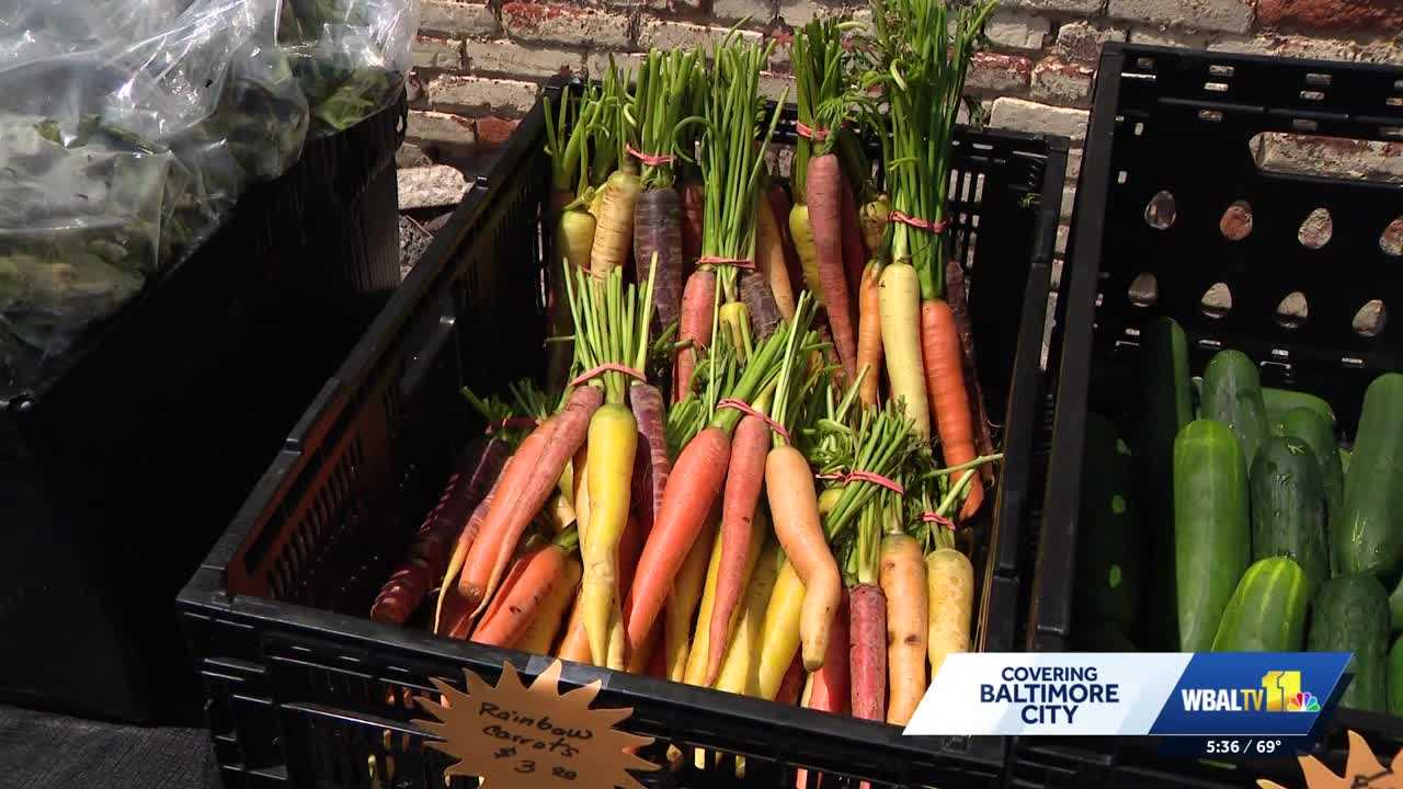 wbaltv.com - Heather Pinchbeck - West North Avenue Farmers Market offers quality food