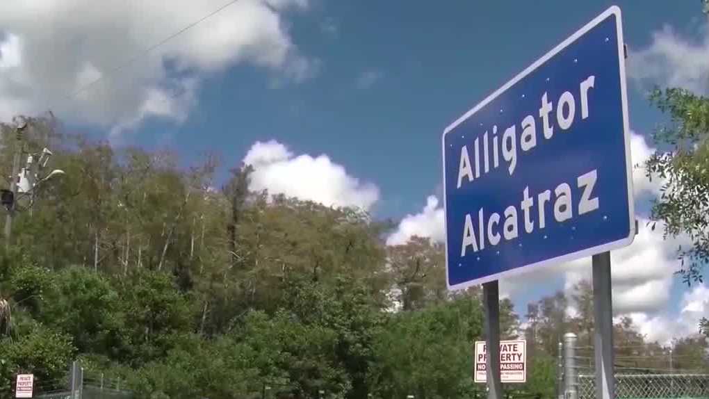 Florida restaurant owner returns home after 12 days in Alligator Alcatraz detention