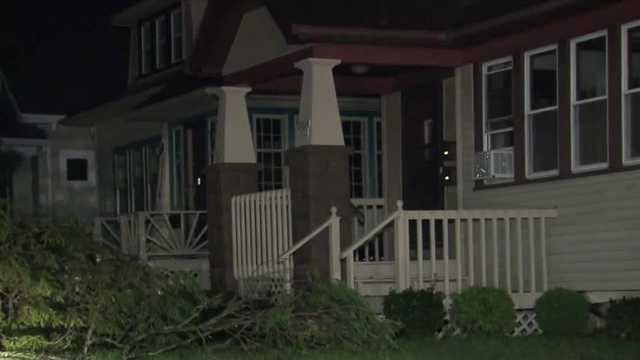 Storms bring Bay View trees down - Vimarsana News
