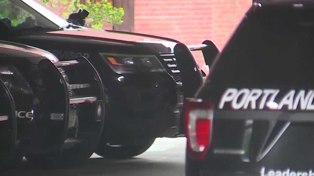 Portland police: Drug trafficking network discovered after February shooting - Vimarsana News