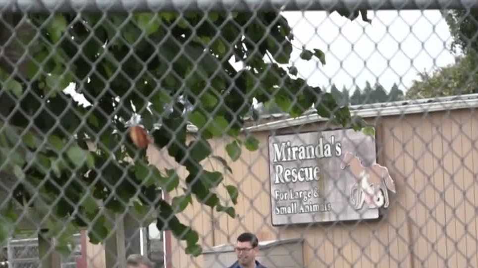 James Gallagher introduces Dunkin's Law after dog deaths - KCRA