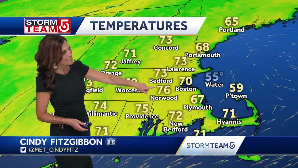 Video: Beautiful May week