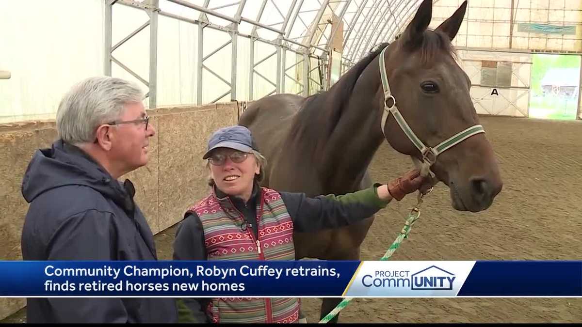 Maine woman finds homes for retired race horses