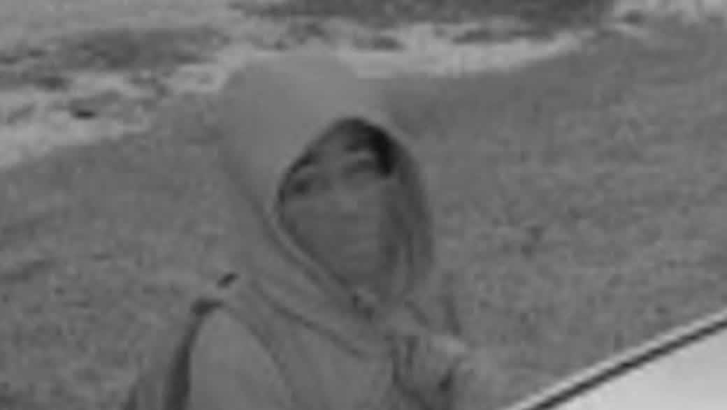 Crime Stoppers seeks suspect in Lehigh Acres car theft